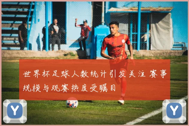 世界杯足球人数统计引发关注 赛事规模与观赛热度受瞩目