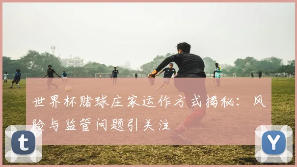 世界杯赌球庄家运作方式揭秘：风险与监管问题引关注