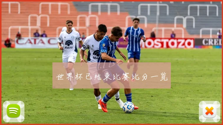 世界杯已结束比赛比分一览