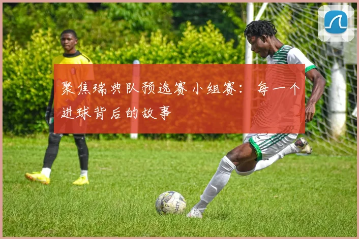 聚焦瑞典队预选赛小组赛：每一个进球背后的故事