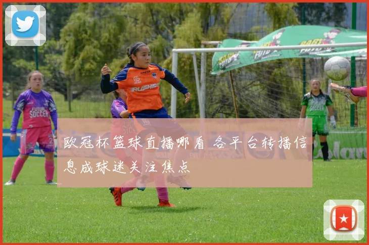 欧冠杯篮球直播哪看 各平台转播信息成球迷关注焦点